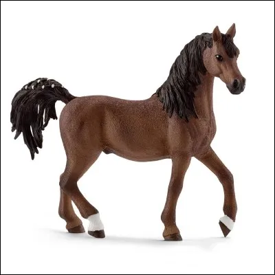 De quel sexe est cet arabe ?