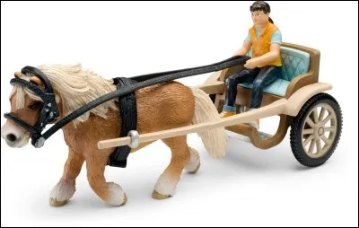 Comment s'appelle cette discipline ?