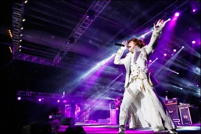 Qui est ce chanteur ?