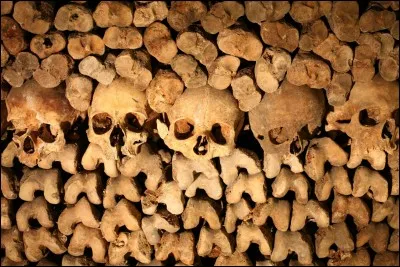 Il y a bien sûr les catacombes de Paris ! Quelle est la taille du réseau des catacombes ?