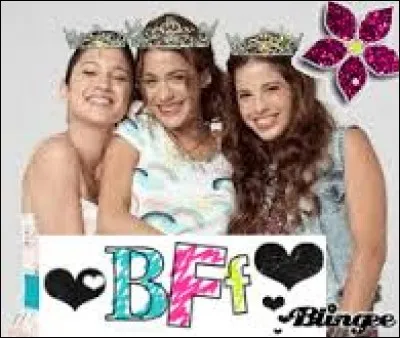 Quel genre d'ami aimes-tu avoir ?