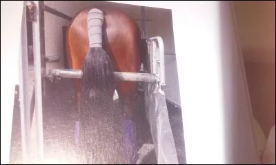 Quelle protection n'est pas une protection de transport ?