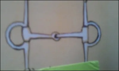 Quel est le nom de ce mors ?