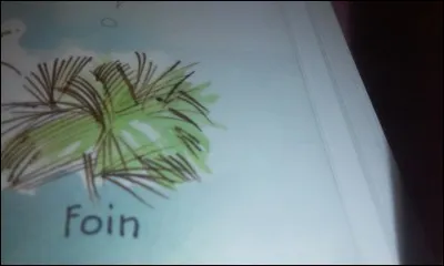 Qu'est-ce que le foin ?