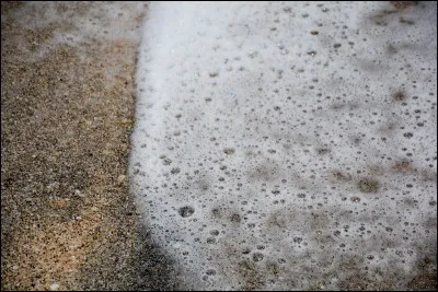 A quel animal appartient cette peau ?