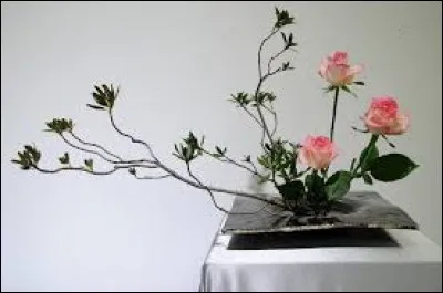 Au Québec, instrument de musique folklorique :