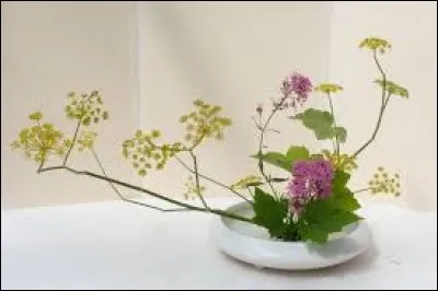 Fibre végétale soyeuse et légère qui tapisse les fruits de l'arbre surnommé "fromager" :