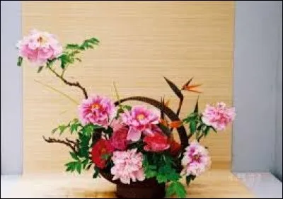 C'est un habitant autochtone de Nouvelle-Calédonie :