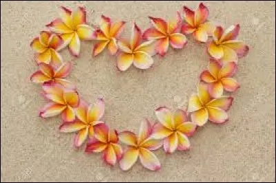 Et enfin, comment s'appelle cette plante qui pousse dans le cur ?