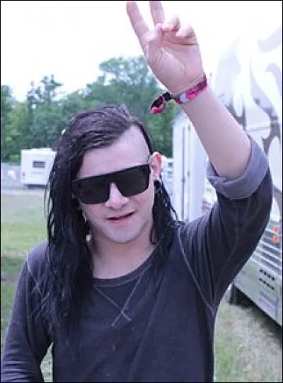 Quel est le style musical de Skrillex ?