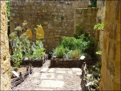 Quel département n'est pas frontalier de celui du Lot?