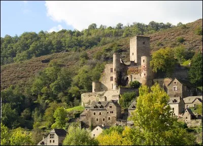 Quel département n'est pas limitrophe de celui de l'Aveyron?