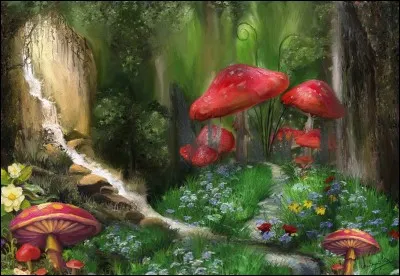 Ce sont les festivités en rapport avec le cinquantenaire.