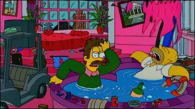 Aimes-tu Ned Flanders ?