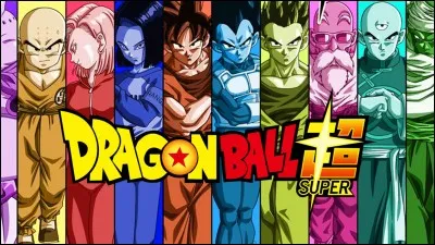 Qui a organisé le tournoi du pouvoir dans DBS ?