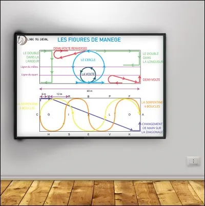 Avec quelle figure de manège peut-on changer de main ?