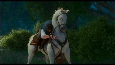 Ce cheval vient du film...