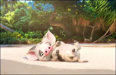 Ce petit cochon est un personnage du film...