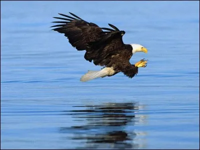 Trouvez un titre de chanson !