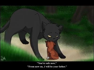 Si vous voyez un chaton blessé sur votre territoire, que faites-vous ?