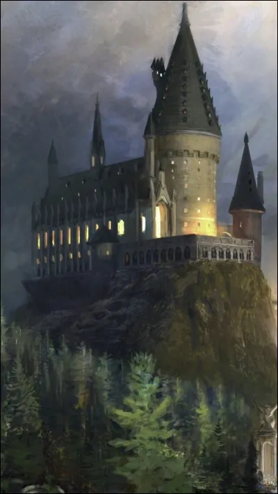 Pendant combien d'ann&eacute;es Harry est-il rest&eacute; &agrave; Poudlard ?