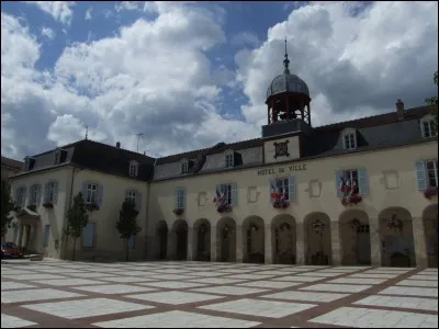 Cette petite sous-préfecture de la région Grand Est est proche des lacs de la forêt d'Orient et tout près du souvenir de De Gaulle à Colombey. Quelle est cette neuvième étape ?