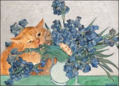 De qui est ce vase d'iris que notre minou fait tomber ?