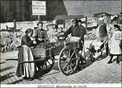 Que faisait le mangonnier ?