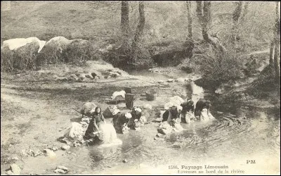 Que faisait le courbassier ?