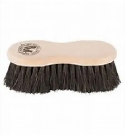 Comment appelle-t-on cet instrument de pansage ?