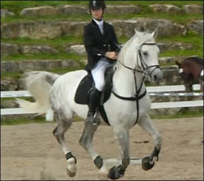 Pour monter à cheval il faut privilégier les vêtements amples aux vêtements près du corps.