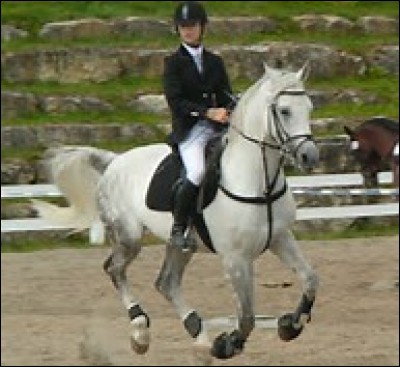 L'équitation est le troisième sport le plus pratiqué en France.