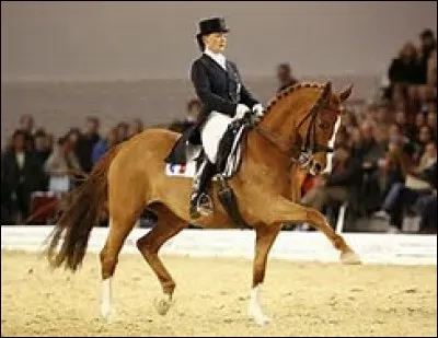 Quelle est cette discipline équestre ?