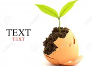 Test Quelle plante es-tu ?