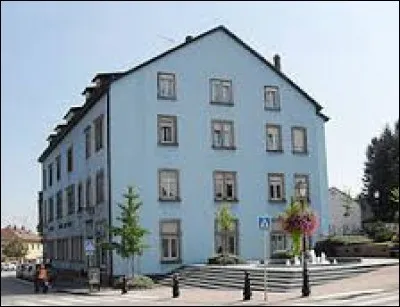 Ville de l'arrondissement de Mulhouse, Hegenheim se situe dans le département ...