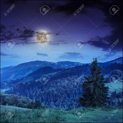 La chanson s'appelle "Nuit et Brouillard", alors essayez de ne pas vous perdre dedans !