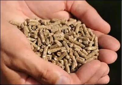 Quel est le nom de cet aliment ?