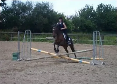 Pour sauter des petits obstacles, il faut :