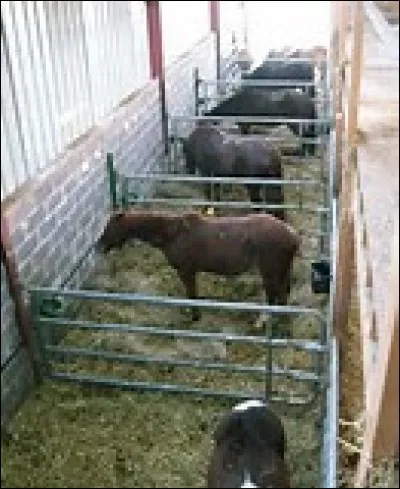 Quel est le nom de cette infrastructure ?