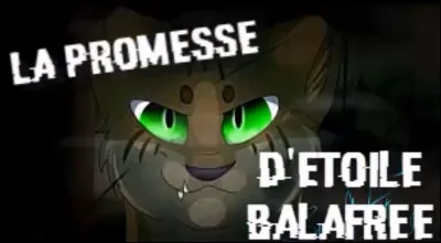 Dans "La Promesse de l'élu", comment le chat, que Petite Balafre a rencontré en essayant d'aller à la pierre de lune, s'appelle-t-il ?
