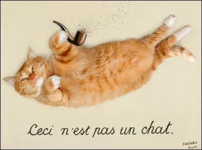 Et enfin, "ceci n'est pas un chat" aurait bien pu être signé :