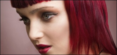 Entre Larousse, la blonde et la brune, laquelle est la plus intelligente ?