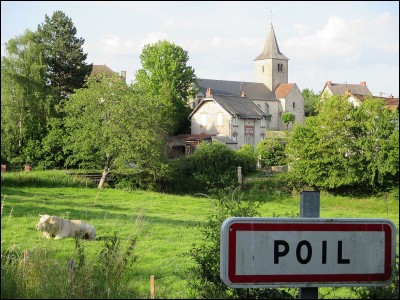 C'est l'histoire d'un poil; avant, il était bien mais maintenant...