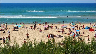 Que se disent deux grains qui vont à la plage ?