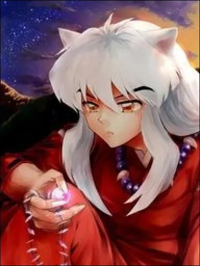 Pourquoi Inuyasha veut-elle la shikon no tama ?