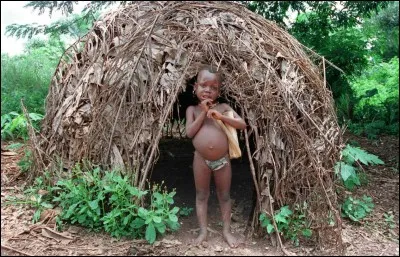 Petits certes, mais pas plus idiots que les autres !