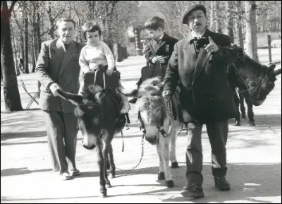 Dans ce jardin proche de la place de la Concorde, on peut encore faire du poney. C'est ....