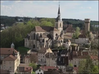 Cette petite sous-préfecture du département des Vosges est traversée par la Meuse. Quelle est cette ville ?