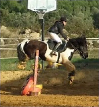 Quel est le nom de cette phase du saut ?