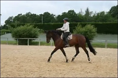 Que signifie trotter sur le bon diagonal ?